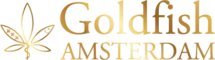 Goldfish Amsterdam