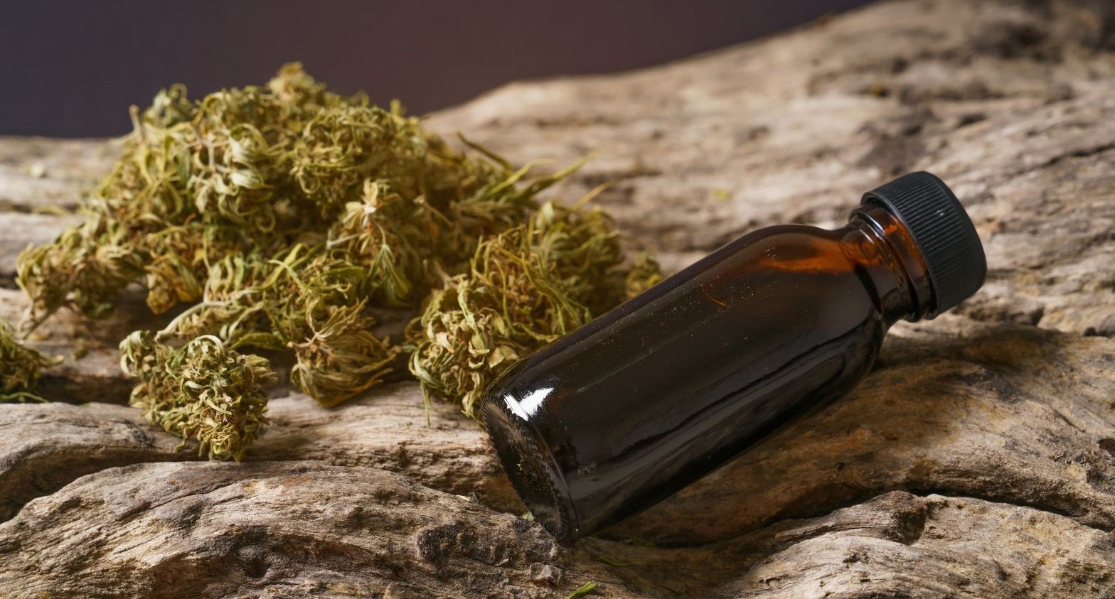 Susz konopny CBD vs. susz konopny zwykły