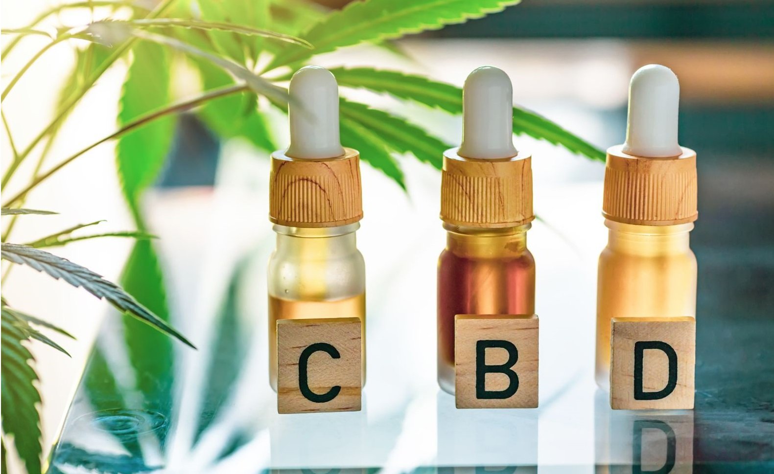 korzyści olejku CBD