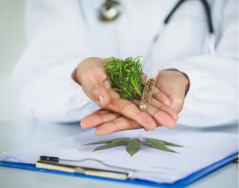 medyczna marihuana 