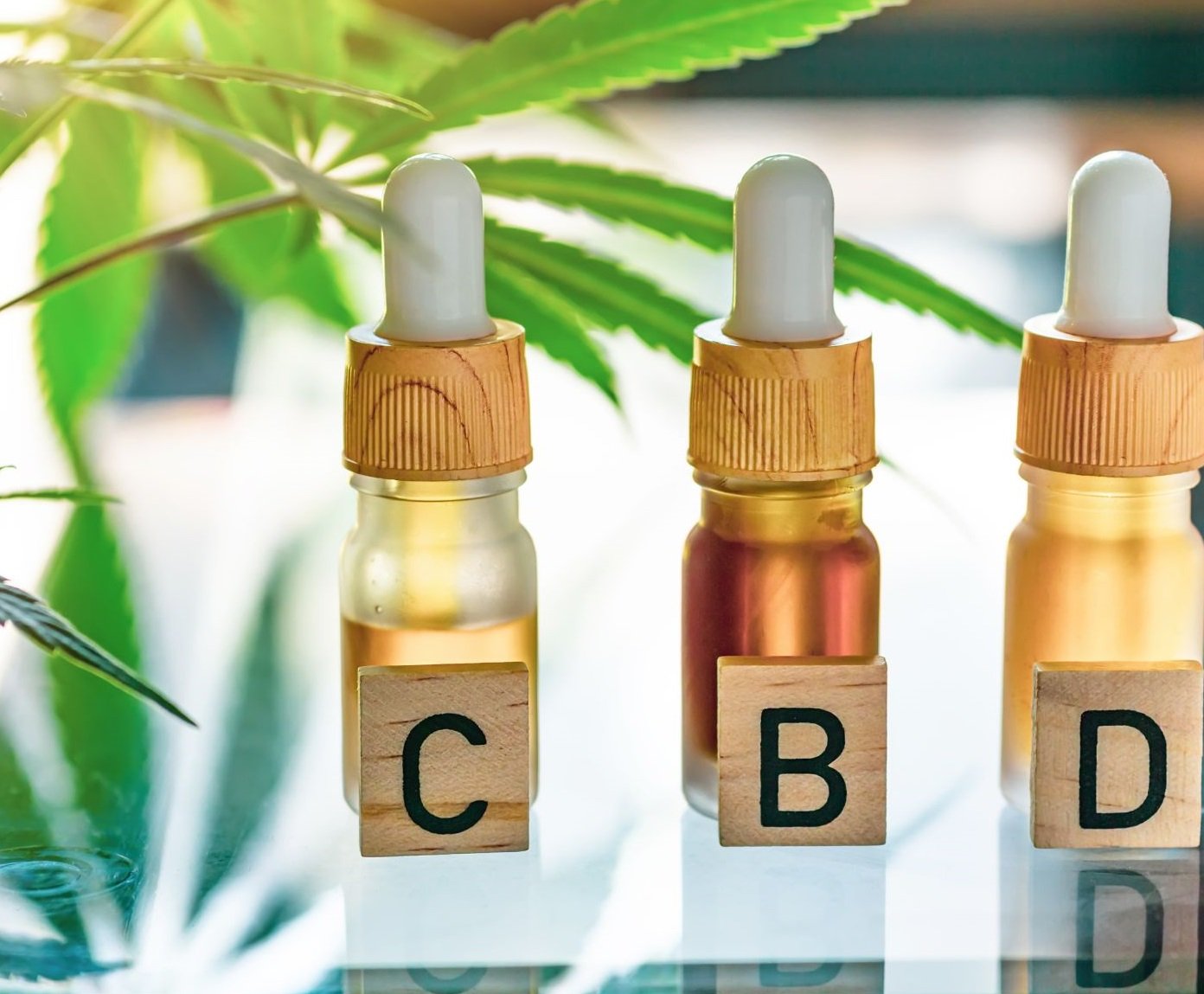 Jakie korzyści zdrowotne niesie olejek CBD